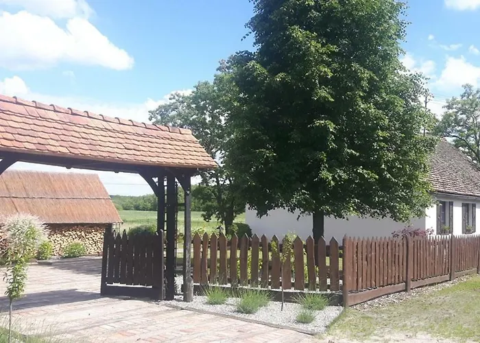 Agroturystyka Rzecin 弗龙基