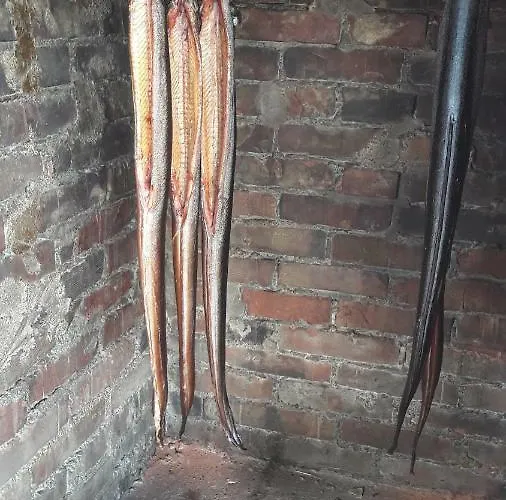 Agroturystyka Rzecin 弗龙基